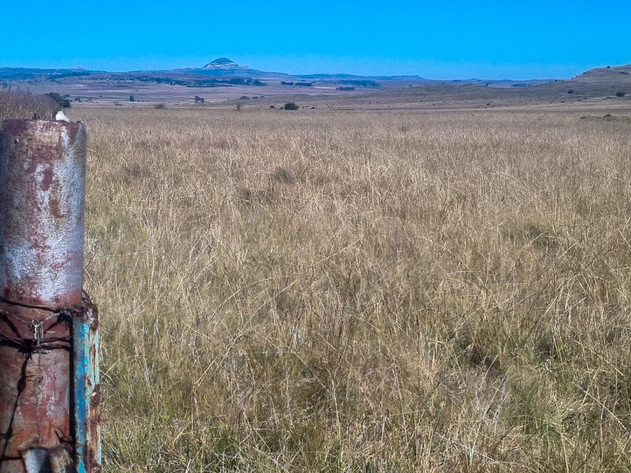 0 Bedroom Property for Sale in Paul Roux Free State